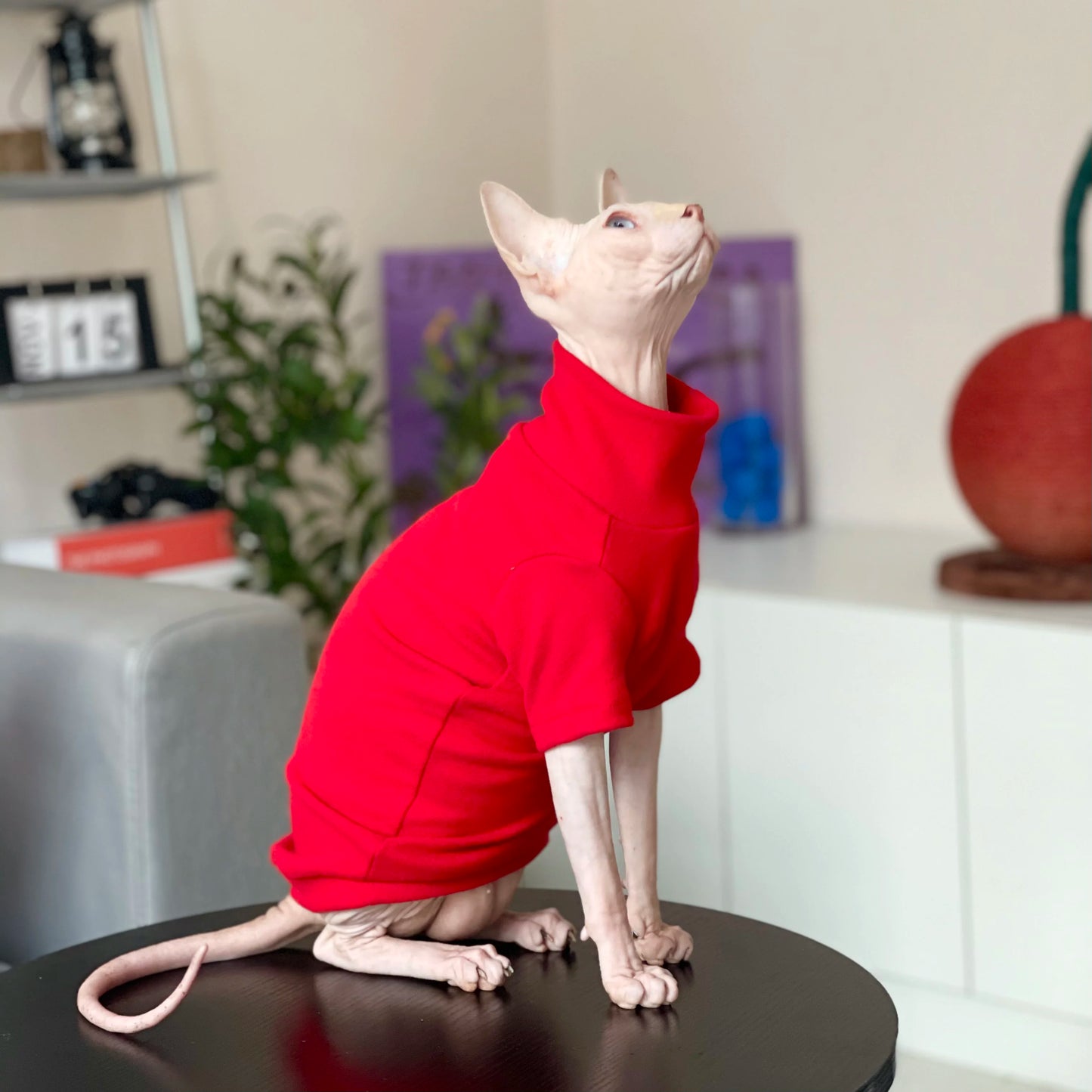 All Season Sphynx Cat Sweater Hairless Cat Dogs Clothes Soft Fleece Coat Turtleneck Pocket Jumpsuit for Devon Rex Cat apparels
