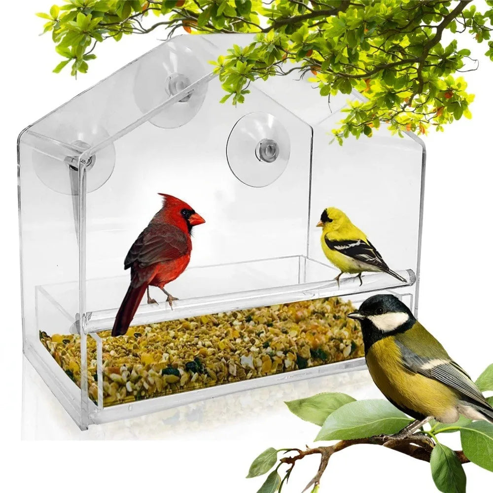 Clear Glass Window Bird Feeder