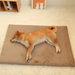 Orthopedic Memory Foam Dog Bed