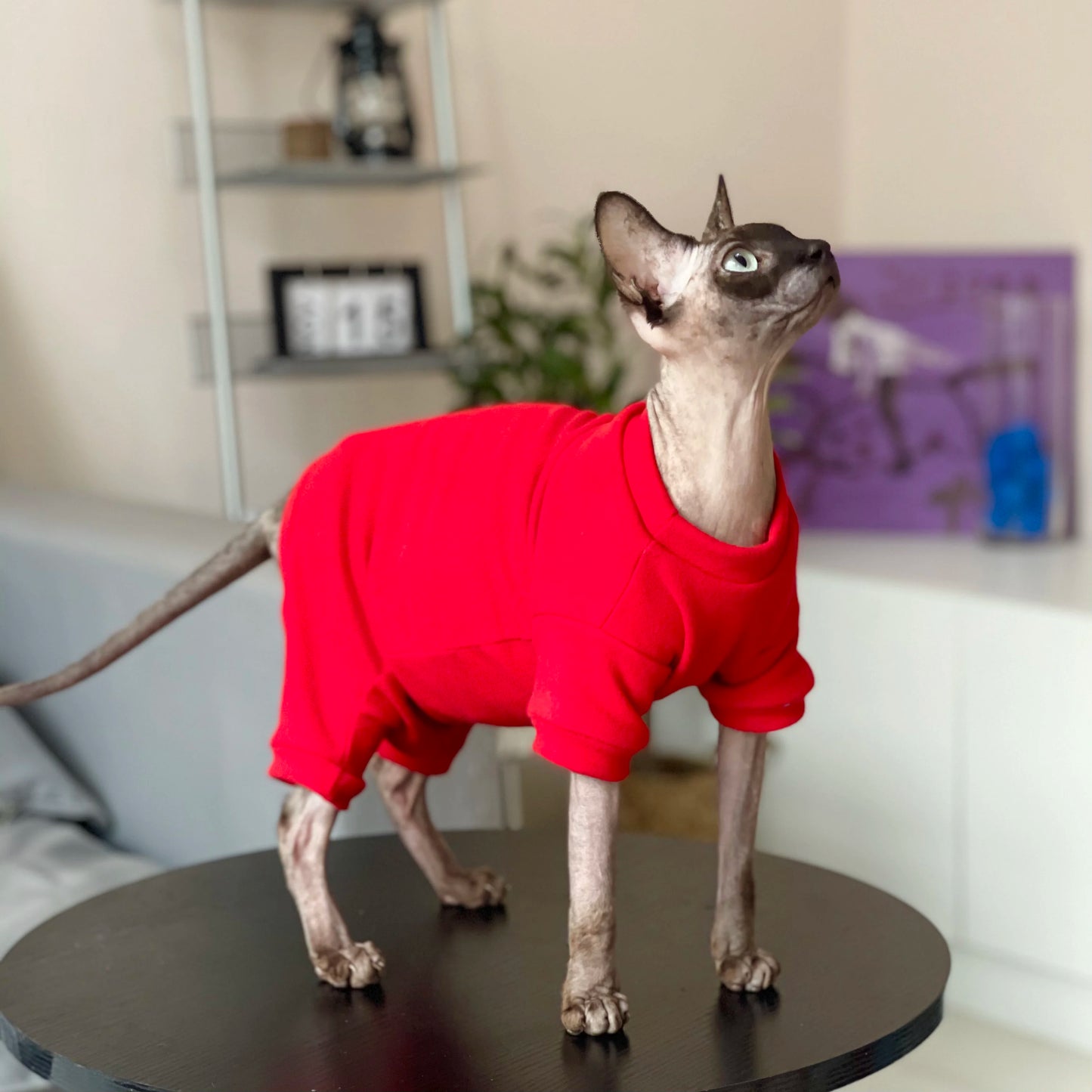 All Season Sphynx Cat Sweater Hairless Cat Dogs Clothes Soft Fleece Coat Turtleneck Pocket Jumpsuit for Devon Rex Cat apparels