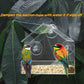Acrylic Transparent Bird Feeder with Suction Cup