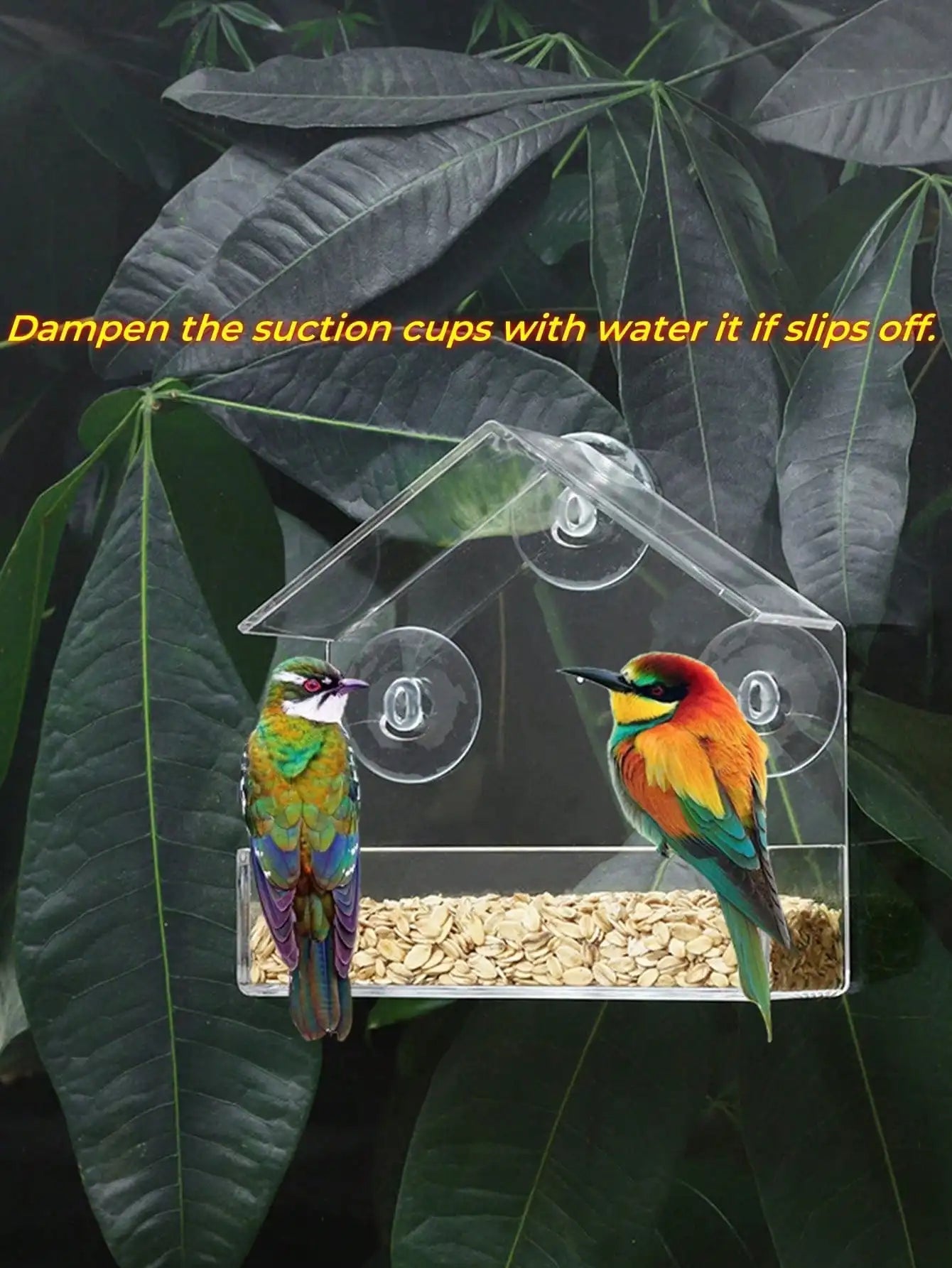 Acrylic Transparent Bird Feeder with Suction Cup