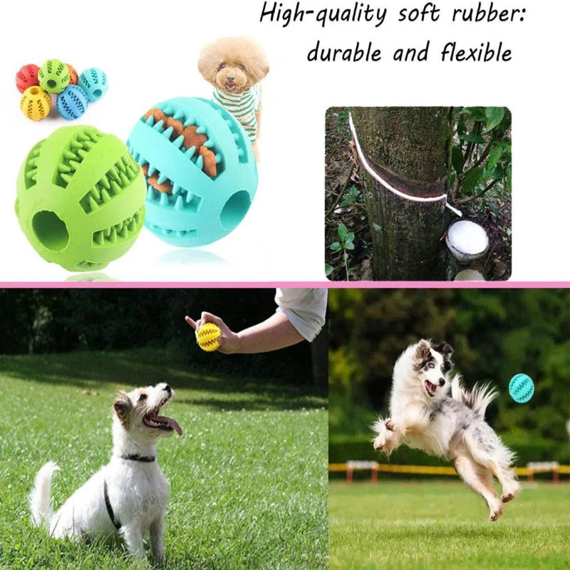 Rubber Dog Ball