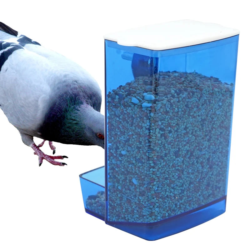 Automatic Bird Feeder
