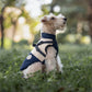 Winter Pet Vest