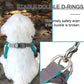 Reflective Dog Harness for Small Dogs