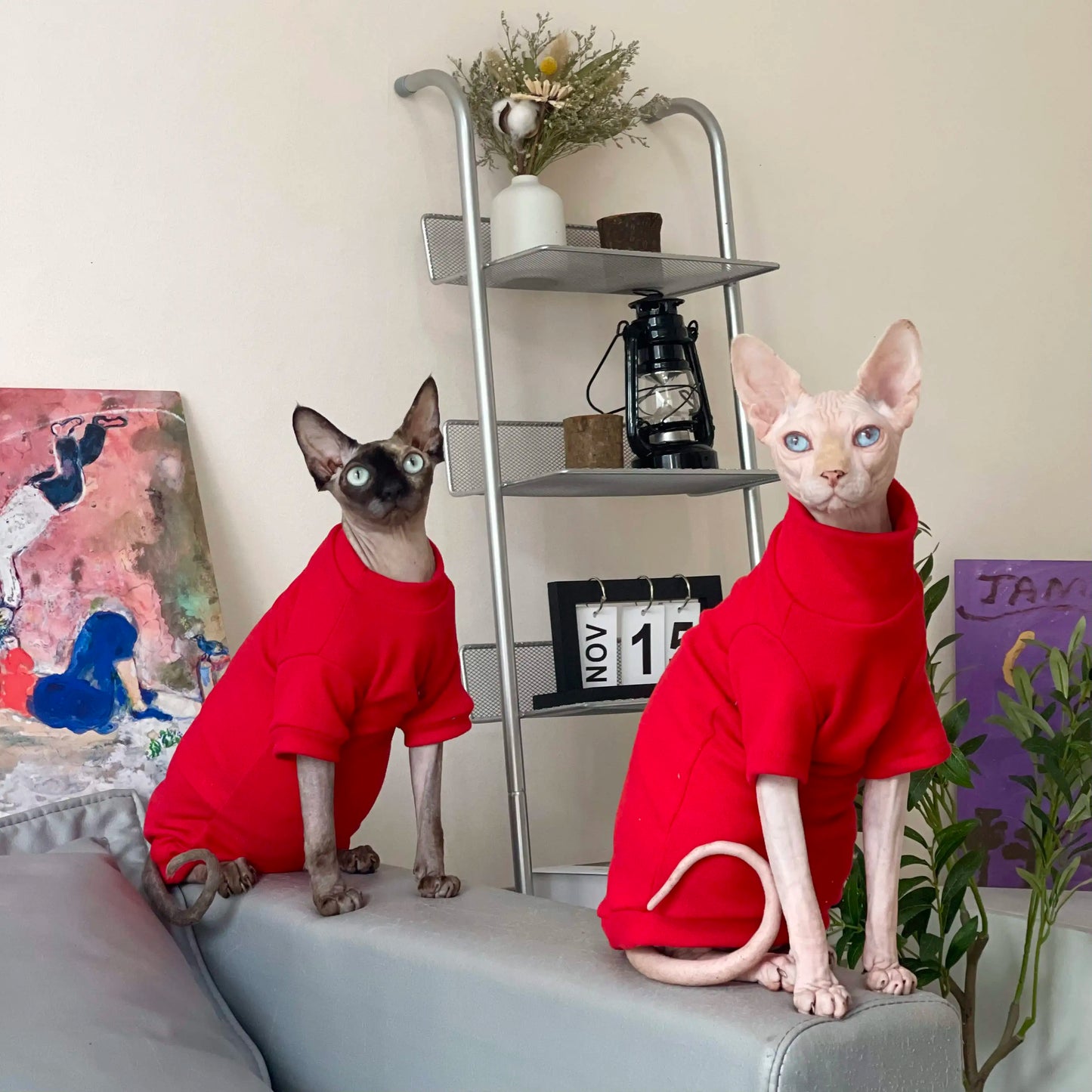 All Season Sphynx Cat Sweater Hairless Cat Dogs Clothes Soft Fleece Coat Turtleneck Pocket Jumpsuit for Devon Rex Cat apparels