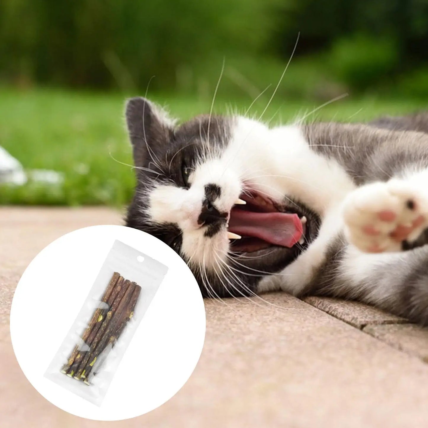 10gr Pure Natural Catnip Cat Toy