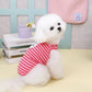 Cute Pet Outfit