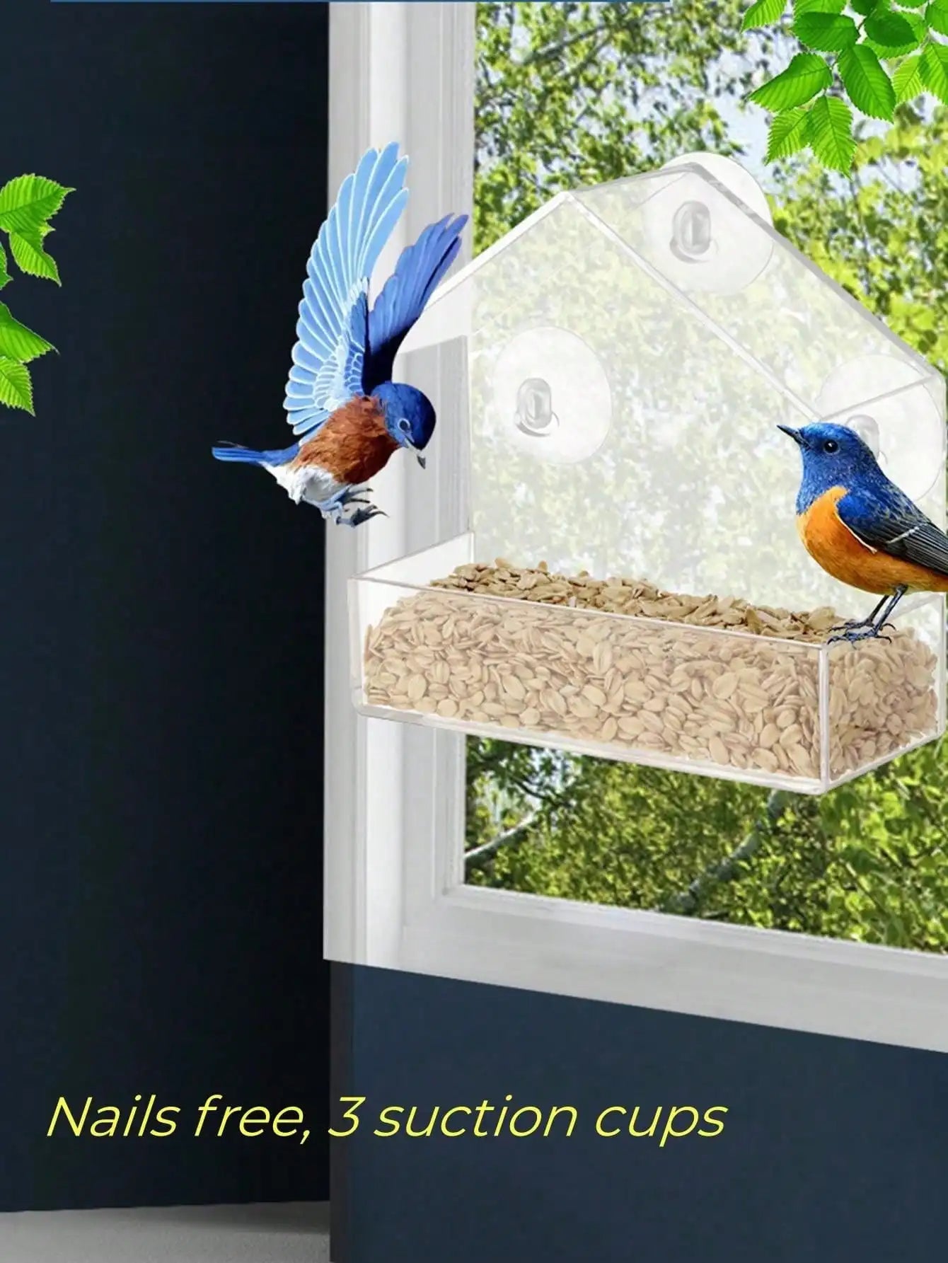 Acrylic Transparent Bird Feeder with Suction Cup